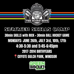 SUMMER SKILLS CAMP 